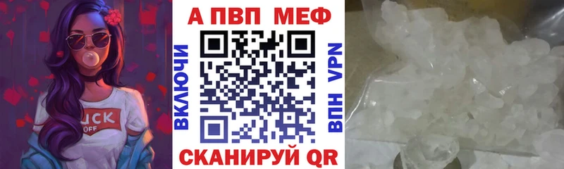 OMG вход  Кондопога  APVP СК 