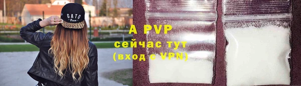 мескалин Богданович