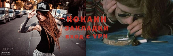 ПСИЛОЦИБИНОВЫЕ ГРИБЫ Бородино