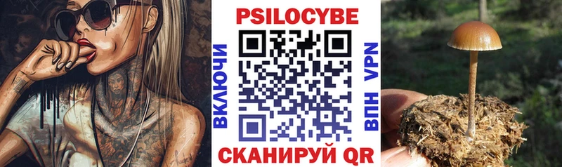 Псилоцибиновые грибы MAGIC MUSHROOMS Кондопога